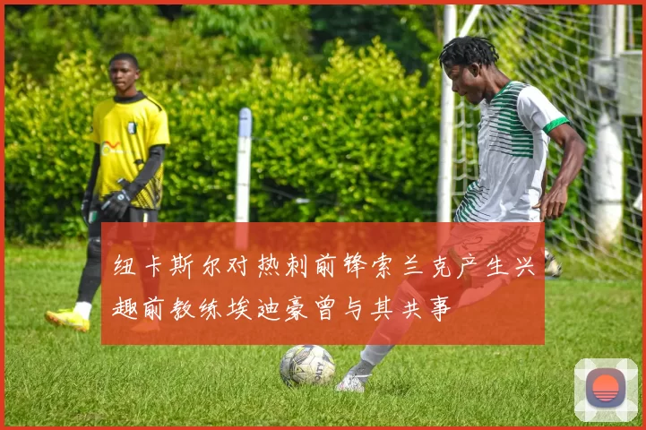 纽卡斯尔对热刺前锋索兰克产生兴趣前教练埃迪豪曾与其共事