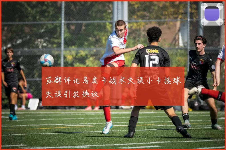 苏群评论乌度卡战术失误小卡接球失误引发热议