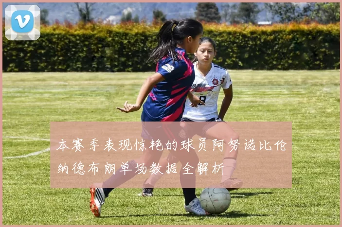 本赛季表现惊艳的球员阿努诺比伦纳德布朗单场数据全解析